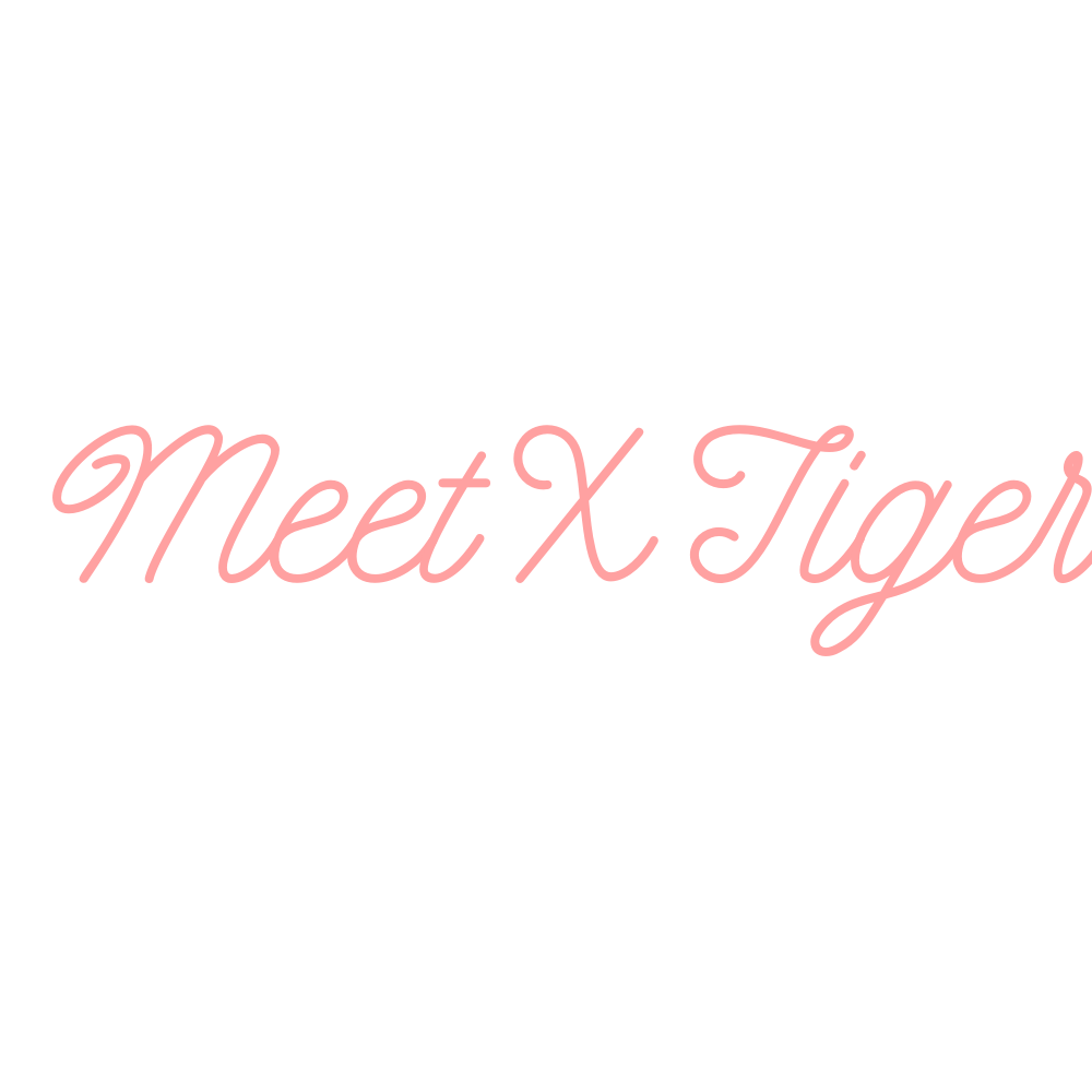 MeetXTiger